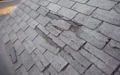 What Are the Signs That You Need a New Roof?