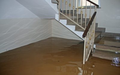 4 Steps to Deal with Residential Water Damage
