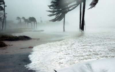 How to Prepare Your Home for Hurricane Season