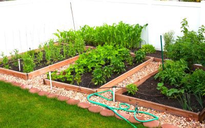 6 Tips to Help Your Garden Survive Summer