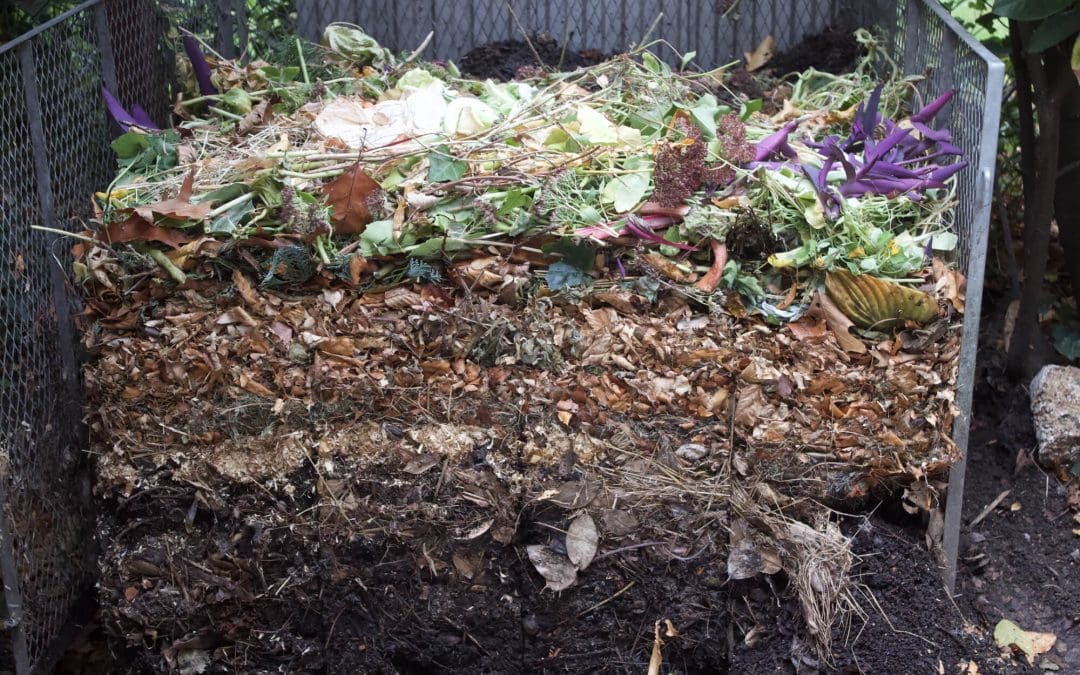 The Beginner’s Guide to Composting at Home